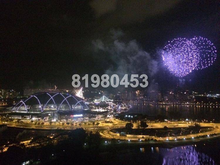 The Riverine By The Park (D12), Apartment #137773562